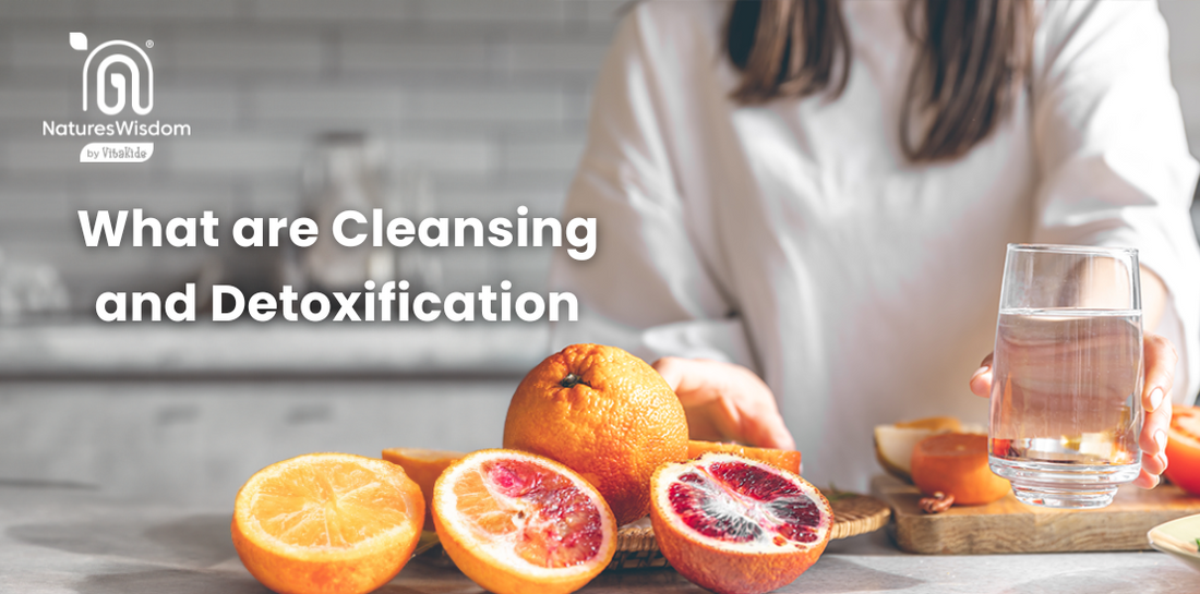 Why Cleansing and Detoxification are Paramount to Health