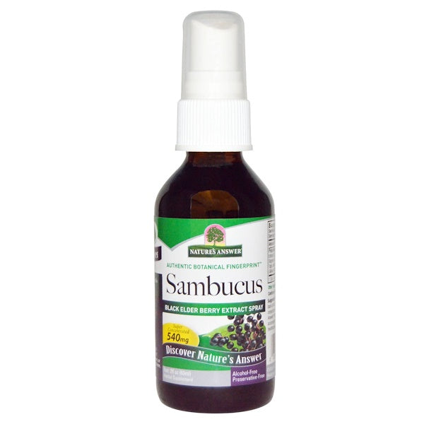 Nature's Answer Sambucus Black Elder Berry Extract Spray (Alcohol-Free), 60 ml.-NaturesWisdom