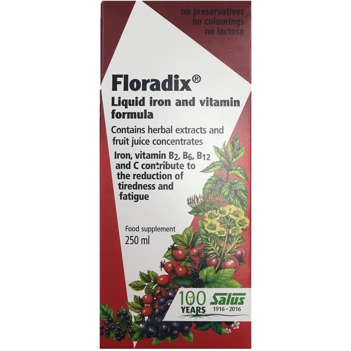 Salus Haus Floradix Liquid Iron Formula, 250 ml.-NaturesWisdom